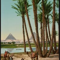 Каир, пальмы, бедуины и пирамиды