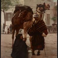 Каир. Бедуин и его жена после прогулки