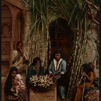 Каир. Продавцы сахарного тростника