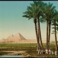 Каир, пальмы и пирамиды