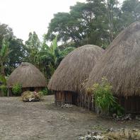 Индонезия, Западное Папуа, традиционный жилой дом honai