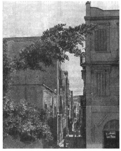 Александрия. Улица в старой части города