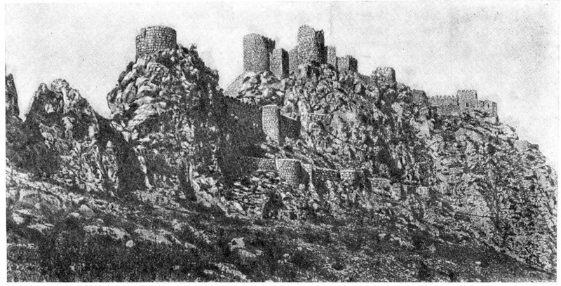 Левонкла (Одзиберд). Крепость, XII—XIV вв. Общий вид
